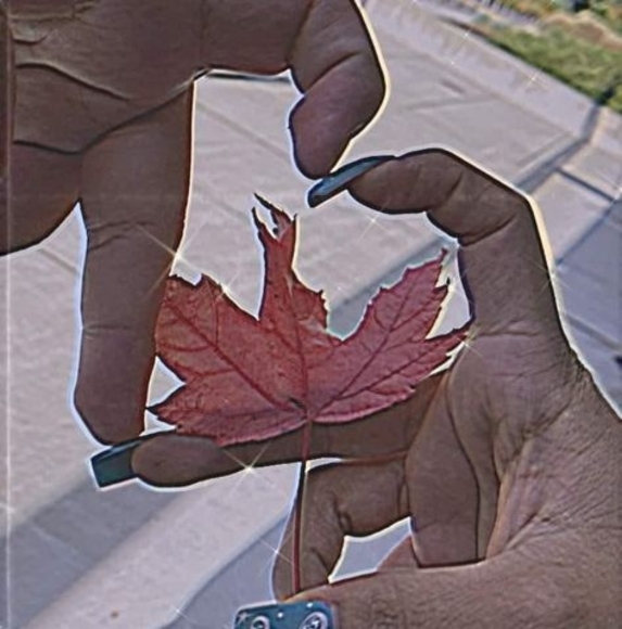 Meet your Posher, Jimenez - Picture 1 of 1